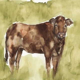 Cow in the Field I