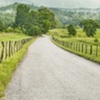 Country Road Panorama I