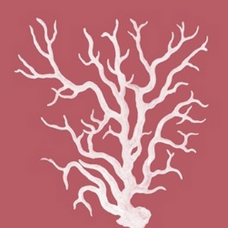 Corals White on Coral a