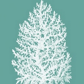 Coral Tree White on Turquoise