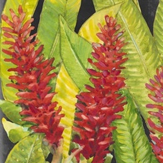 Red Tropical Flowers I