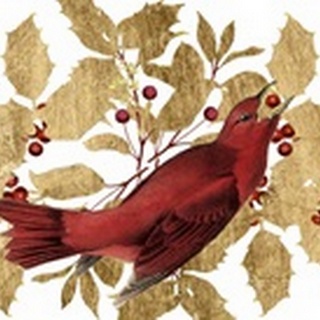 Red Bird Christmas Collection D