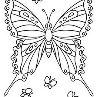 Butterfly Children's coloring page