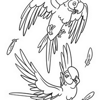 Parrots Children's coloring page