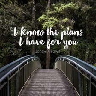 I Know The Plans I Have For You - Scripture