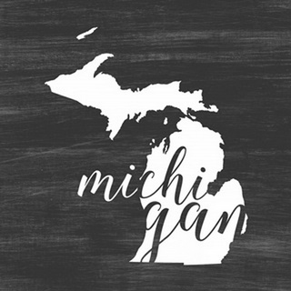 Home State Typography - Michigan