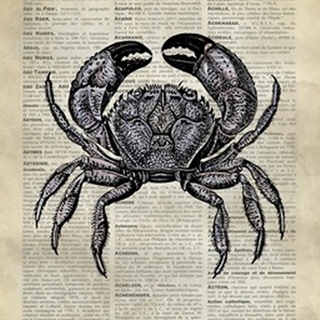 Vintage Dictionary Art: Crab