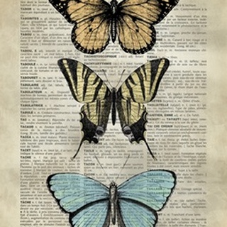 Vintage Dictionary Art: Butterfly Specimen