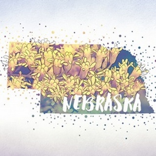 Nebraska State Flower (Goldenrod)