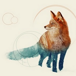 Fox Double Exposure Wildlife Art II