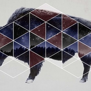 Bison Double Exposure Wildlife Art II